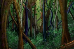 Enchanted Forest